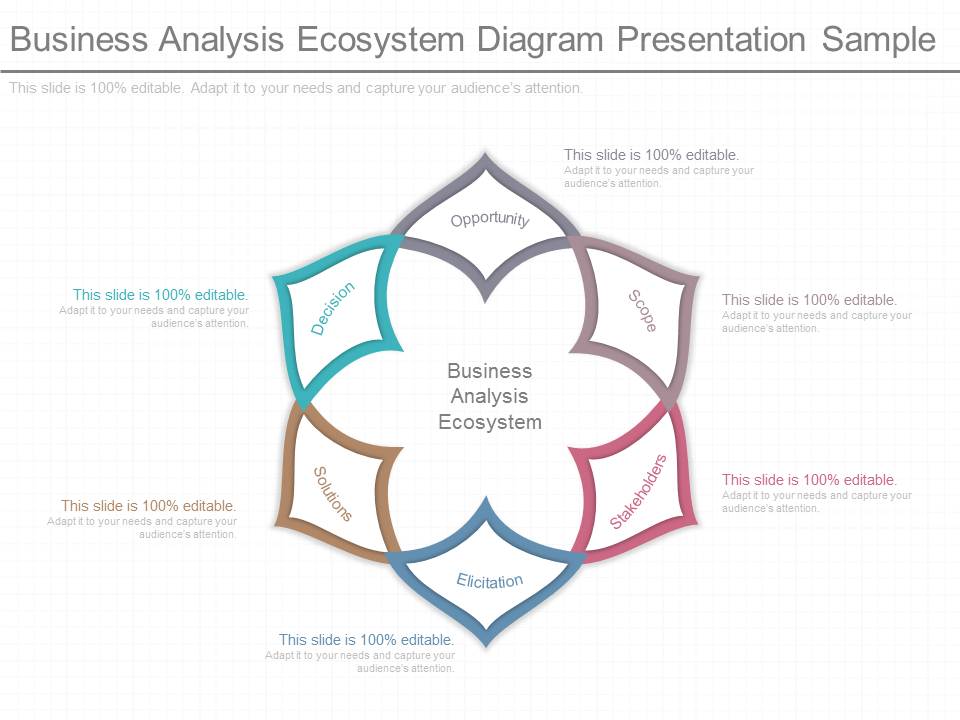 Business Analysis Ecosystem Diagram Presentation Sample