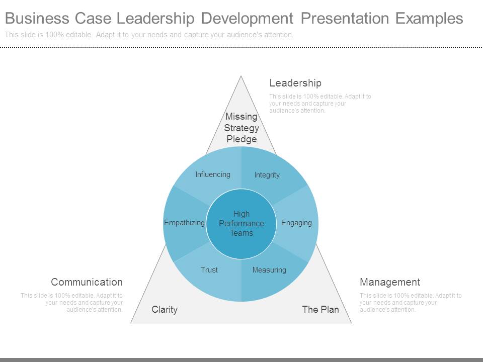 Business Case Leadership Development Presentation Examples