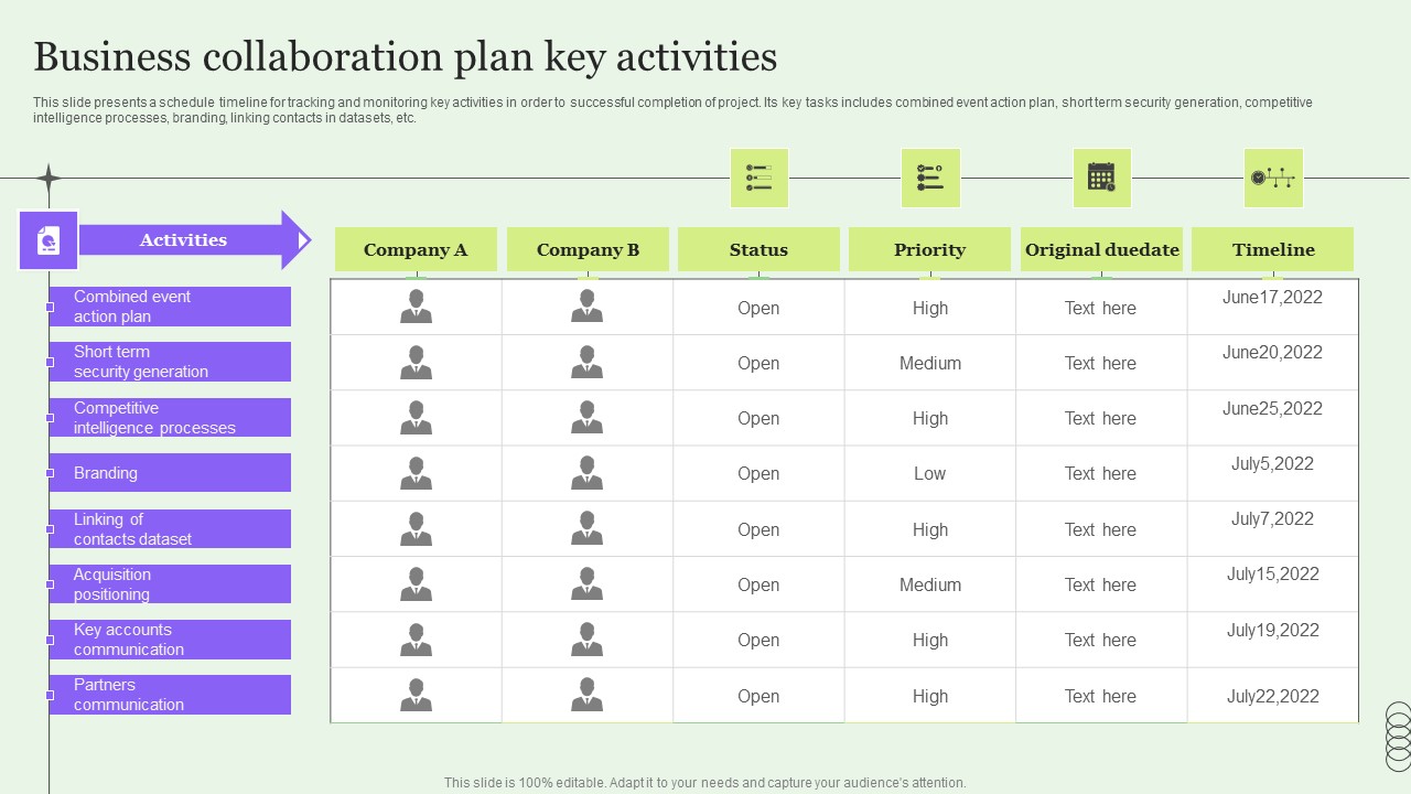 Business Collaboration Plan Key Activities Information PDF