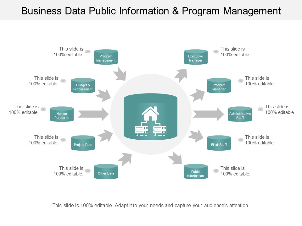 Business Data Public Information And Program Management Ppt PowerPoint Presentation File Deck