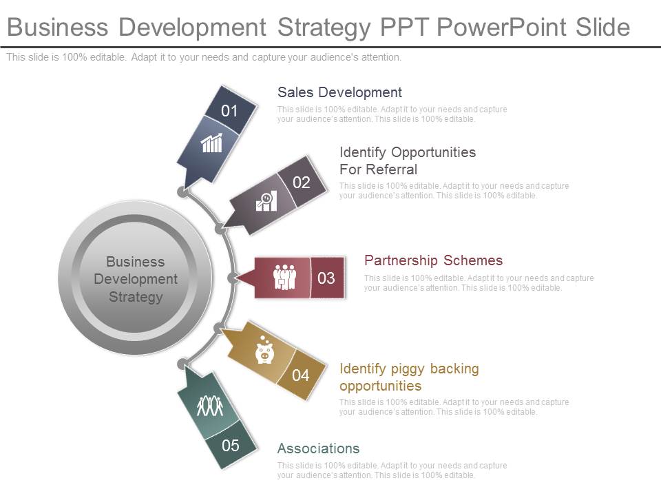 Business Development Strategy Ppt Powerpoint Slide