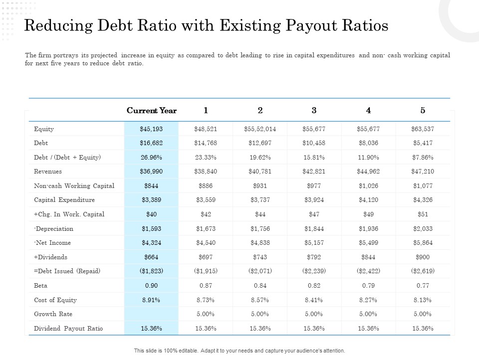 Business Finance Options Debt Vs Equity Reducing Debt Ratio With Existing Payout Ratios Guidelines PDF