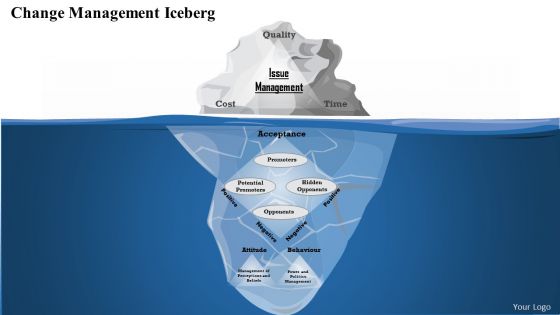 Business Framework Change Management Iceberg