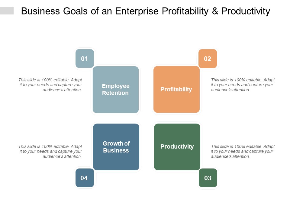 Business Goals Of An Enterprise Profitability And Productivity Ppt PowerPoint Presentation Gallery Pictures
