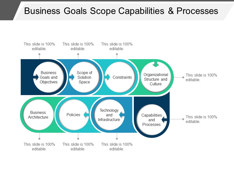 Business Goals Scope Capabilities And Processes Ppt PowerPoint Presentation File Summary