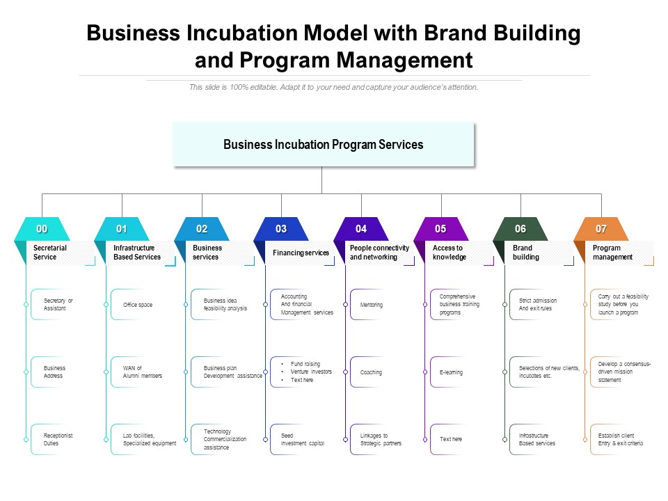 Business Incubation Model With Brand Building And Program Management Ppt PowerPoint Presentation Outline Infographic Template PDF