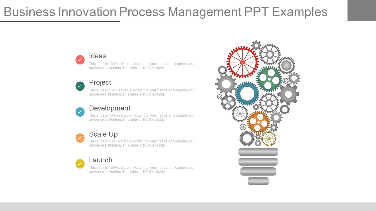 Business Innovation Process Management Ppt Examples