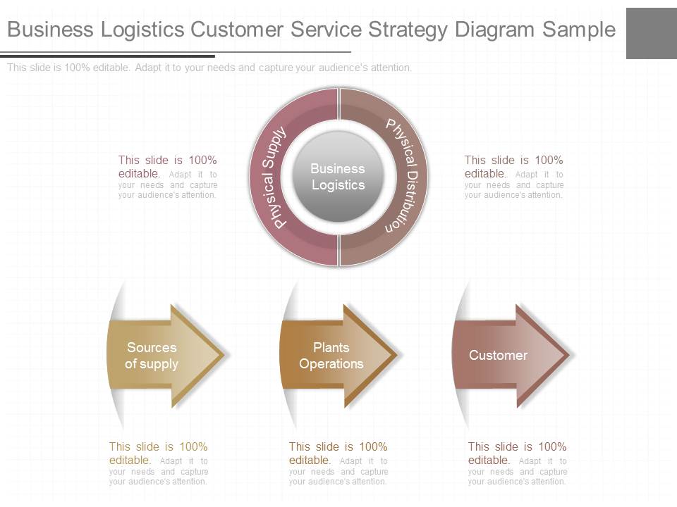 Business Logistics Customer Service Strategy Diagram Sample