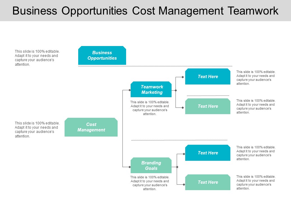 Business Opportunities Cost Management Teamwork Marketing Branding Goals Ppt PowerPoint Presentation Inspiration Graphics