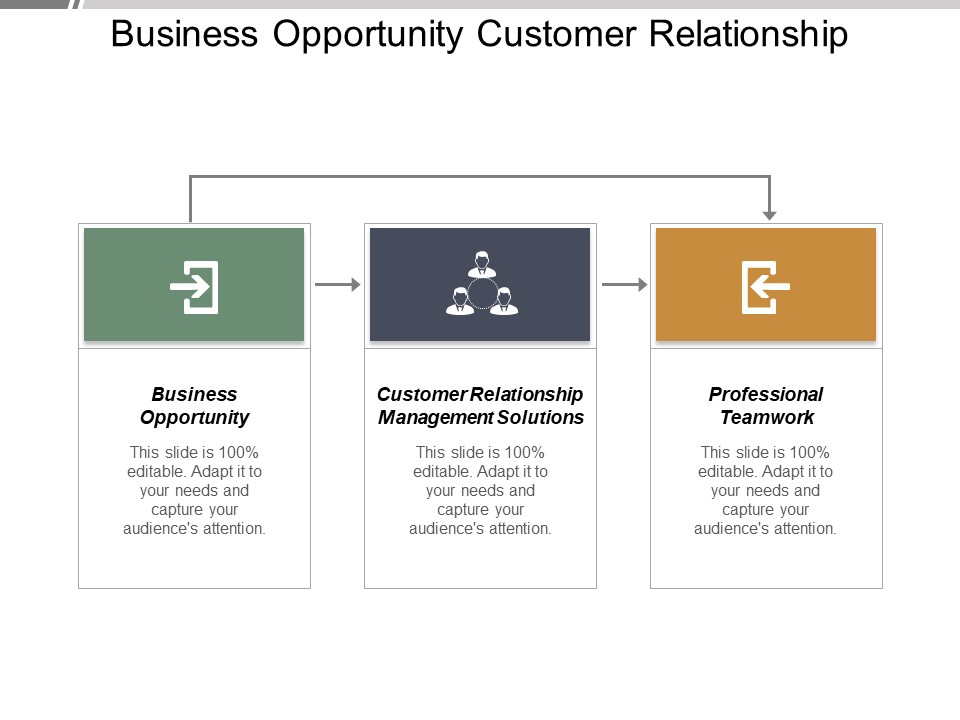Business Opportunity Customer Relationship Management Solutions Professional Teamwork Ppt PowerPoint Presentation Infographics Graphics