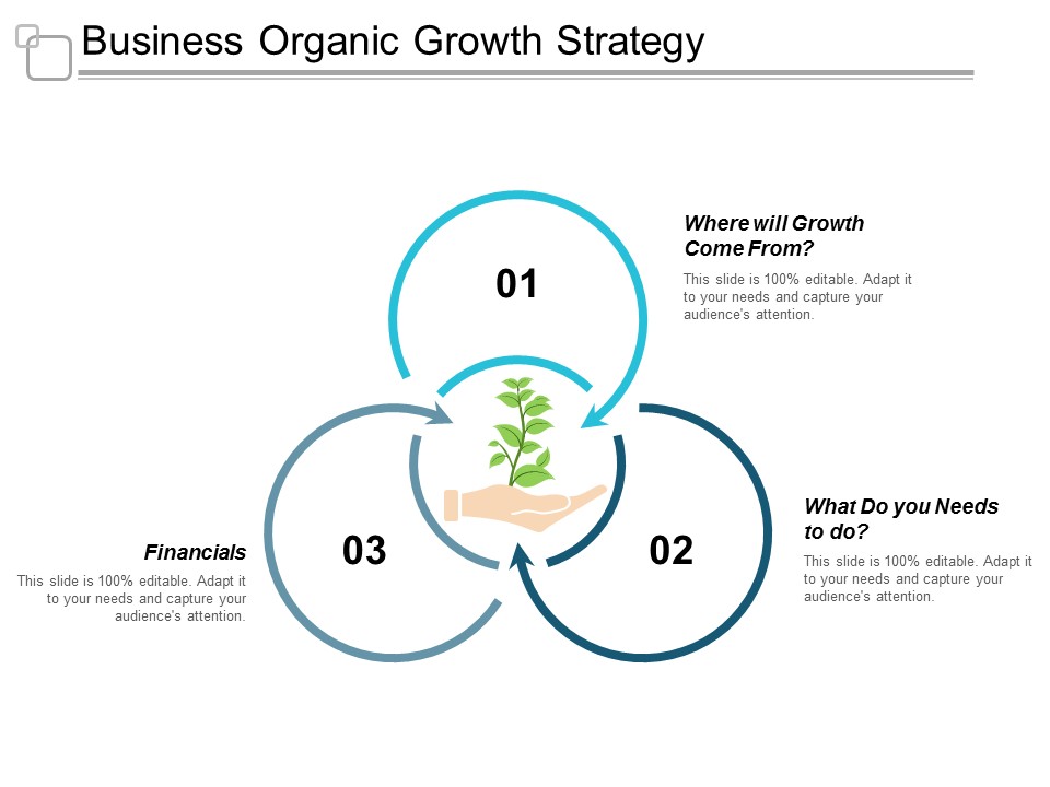 Business Organic Growth Strategy Ppt Powerpoint Presentation Portfolio Gallery
