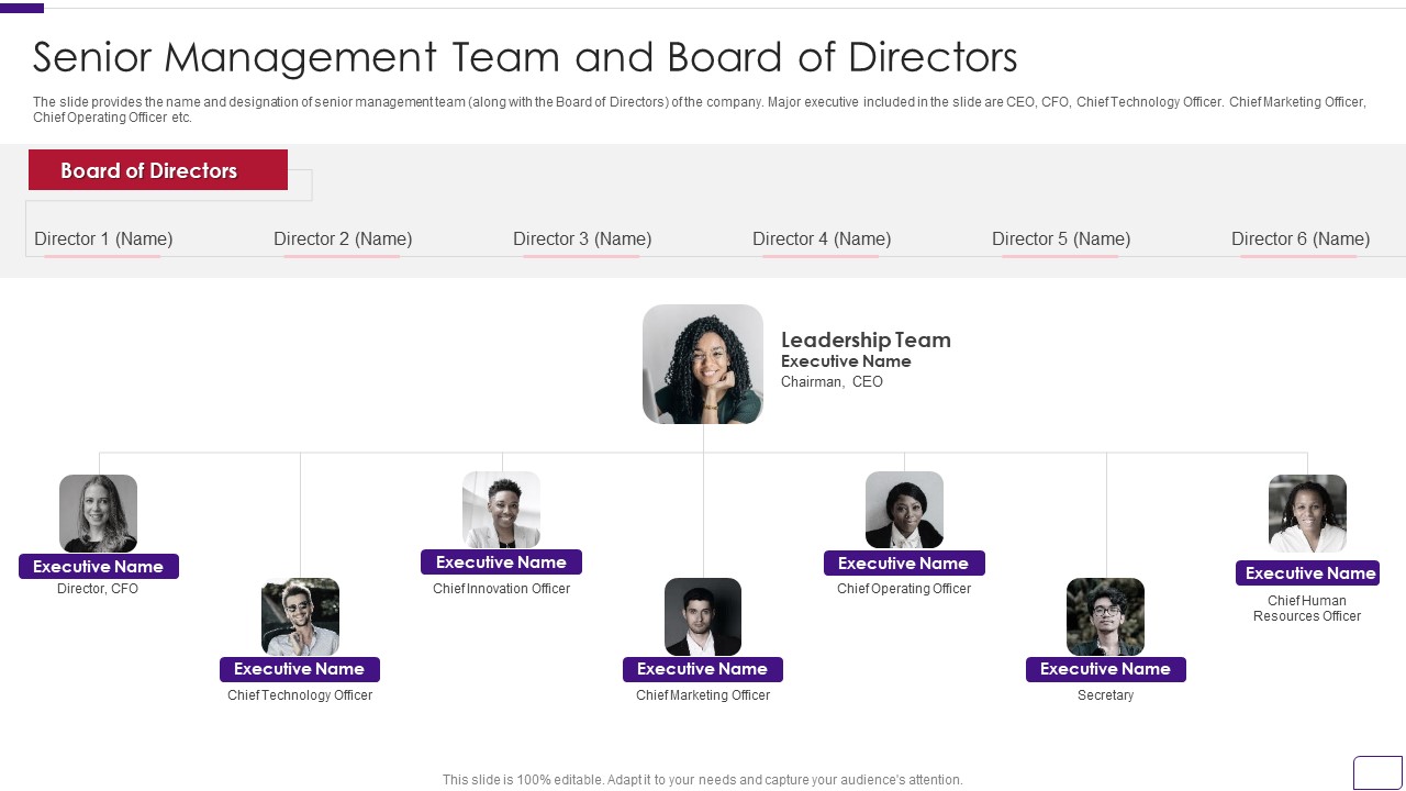 Business Overview Of A Technology Firm Senior Management Team And Board Of Directors Themes PDF