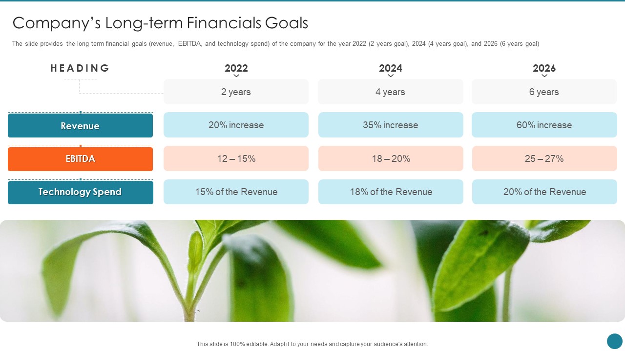 Business Overview Of An Information Technology Company Companys Long Term Financials Goals Guidelines PDF