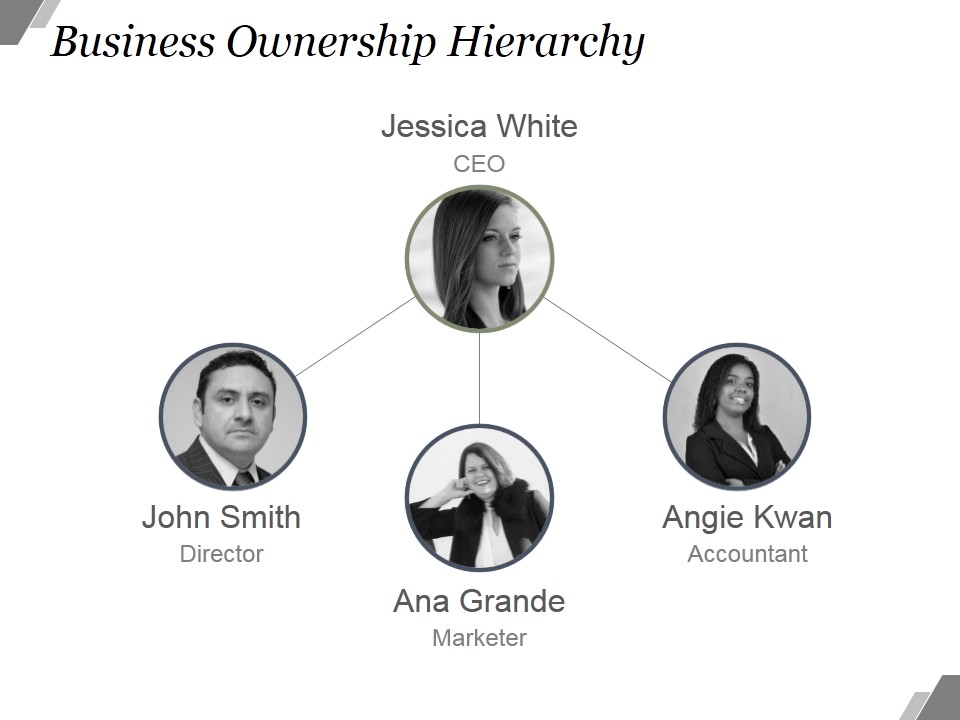 Business Ownership Hierarchy Ppt PowerPoint Presentation Example File