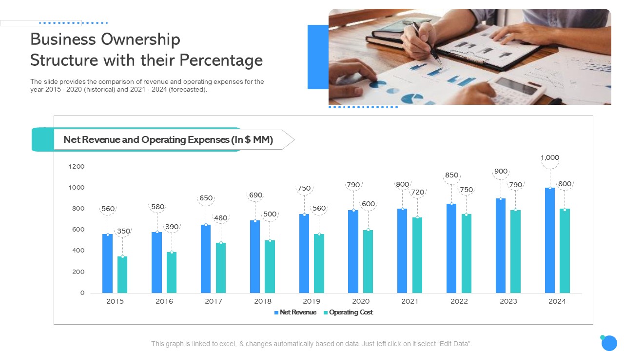 Business Ownership Structure With Their Percentage Icon Ppt Outline PDF