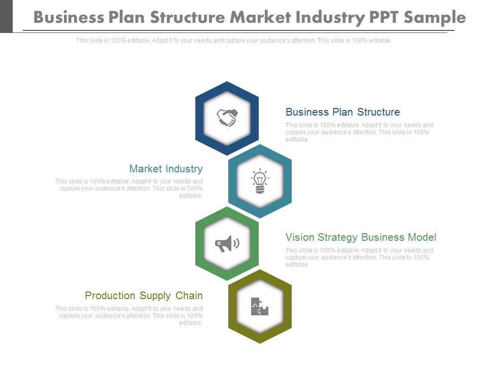 Business Plan Structure Market Industry Ppt Sample