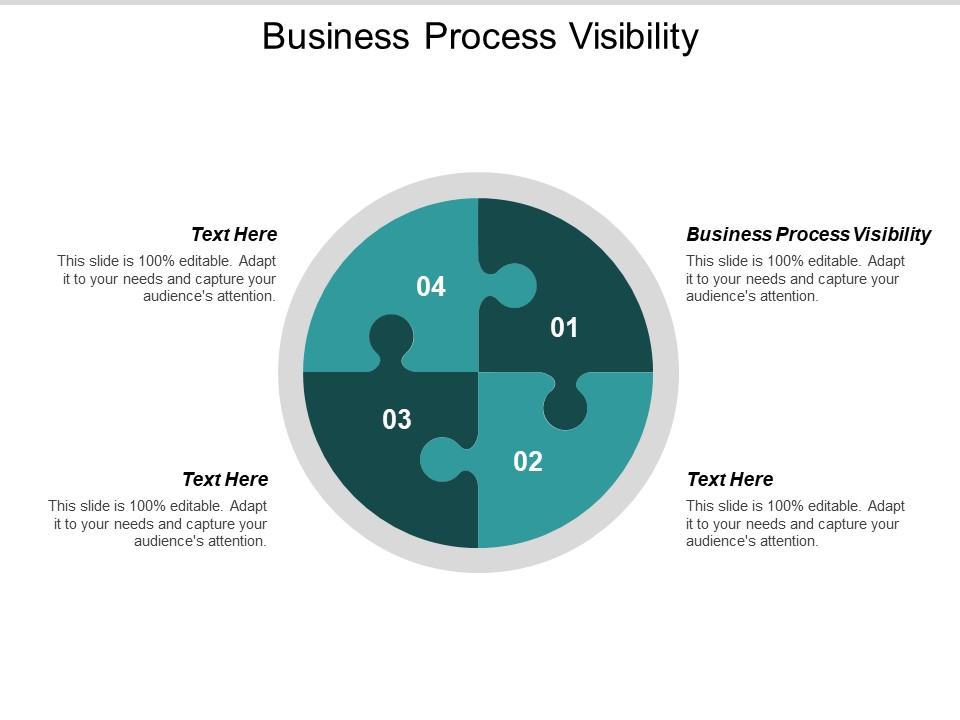 Business Process Visibility Ppt PowerPoint Presentation Show Cpb