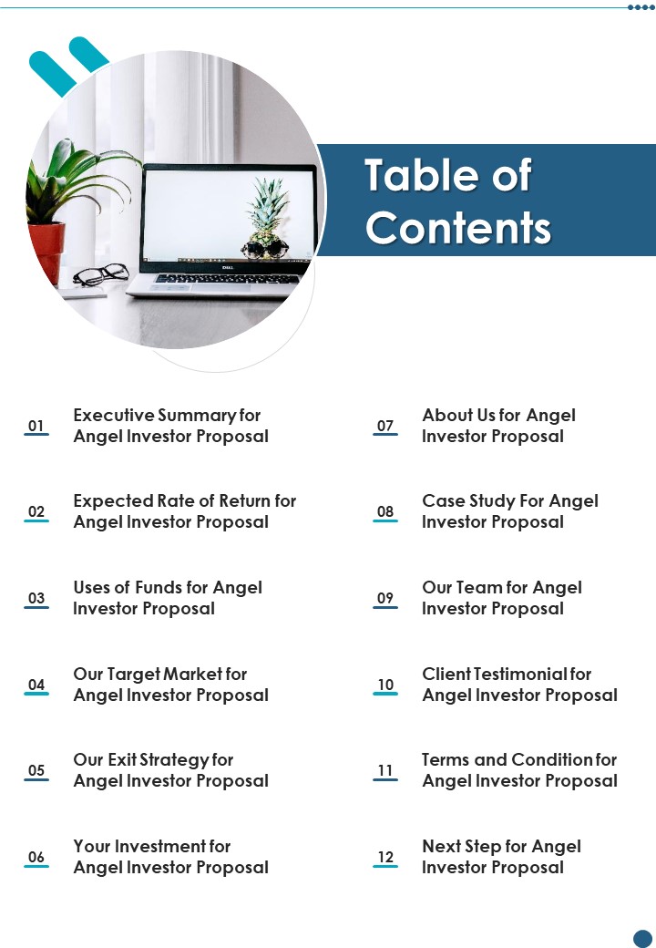 Business Proposal To Raise Funding From Angel Investor Table Of Contents One Pager Sample Example Document