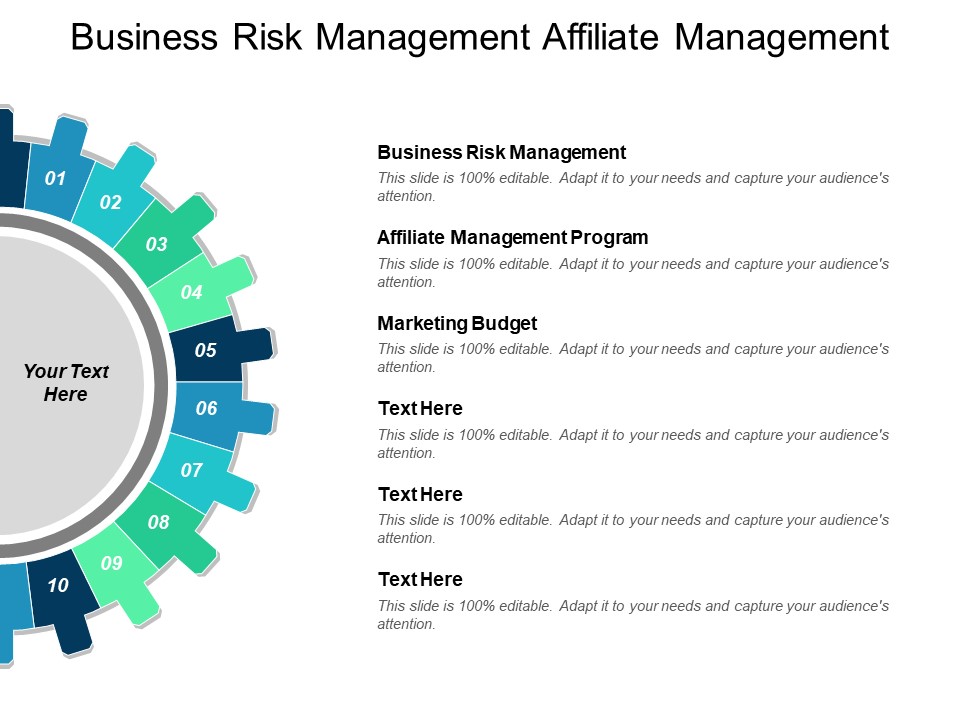 Business Risk Management Affiliate Management Program Marketing Budget Ppt PowerPoint Presentation Inspiration Slideshow