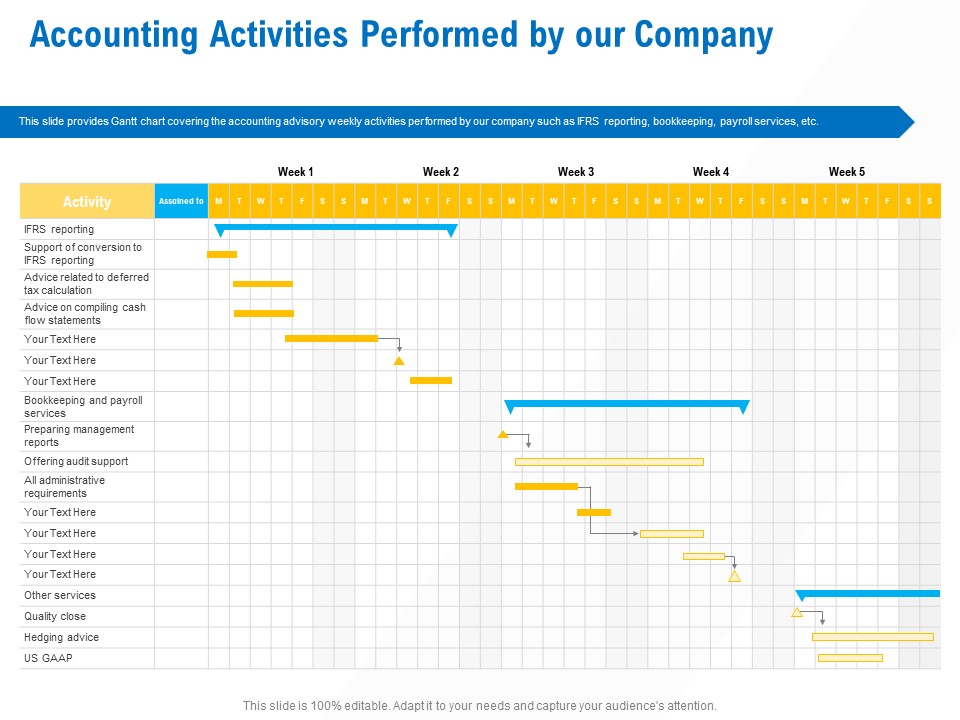 Business Service Provider Accounting Activities Performed By Our Company Brochure PDF
