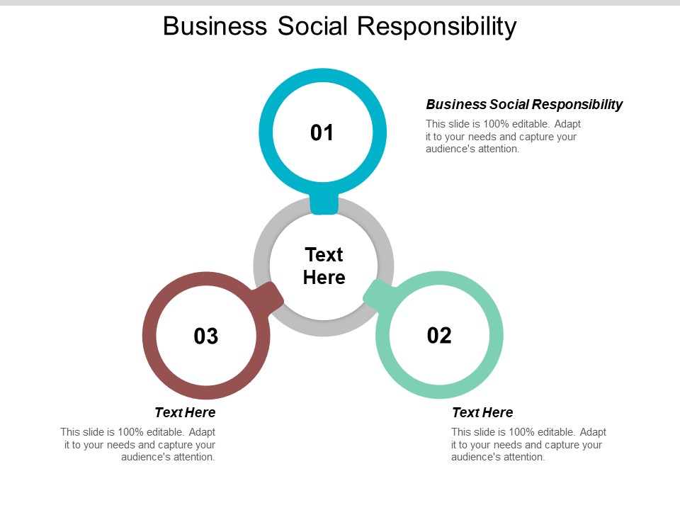 Business Social Responsibility Ppt PowerPoint Presentation Professional Influencers Cpb
