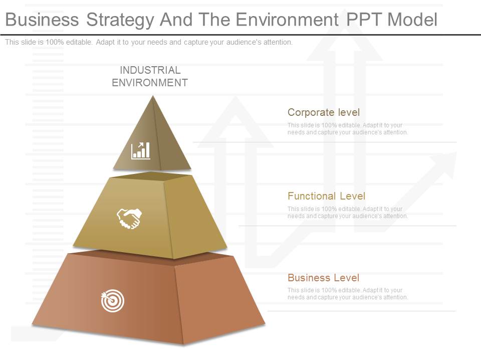 Business Strategy And The Environment Ppt Model