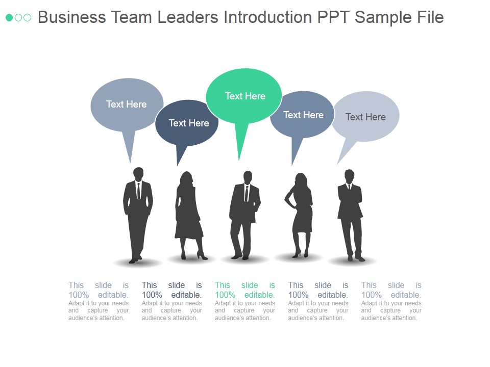 Business Team Leaders Introduction Ppt PowerPoint Presentation Pictures
