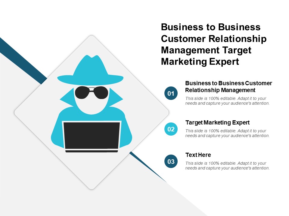 Business To Business Customer Relationship Management Target Marketing Expert Ppt PowerPoint Presentation Infographics Layout Ideas