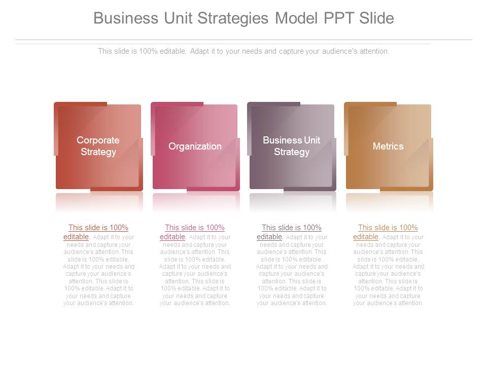 Business Unit Strategies Model Ppt Slide