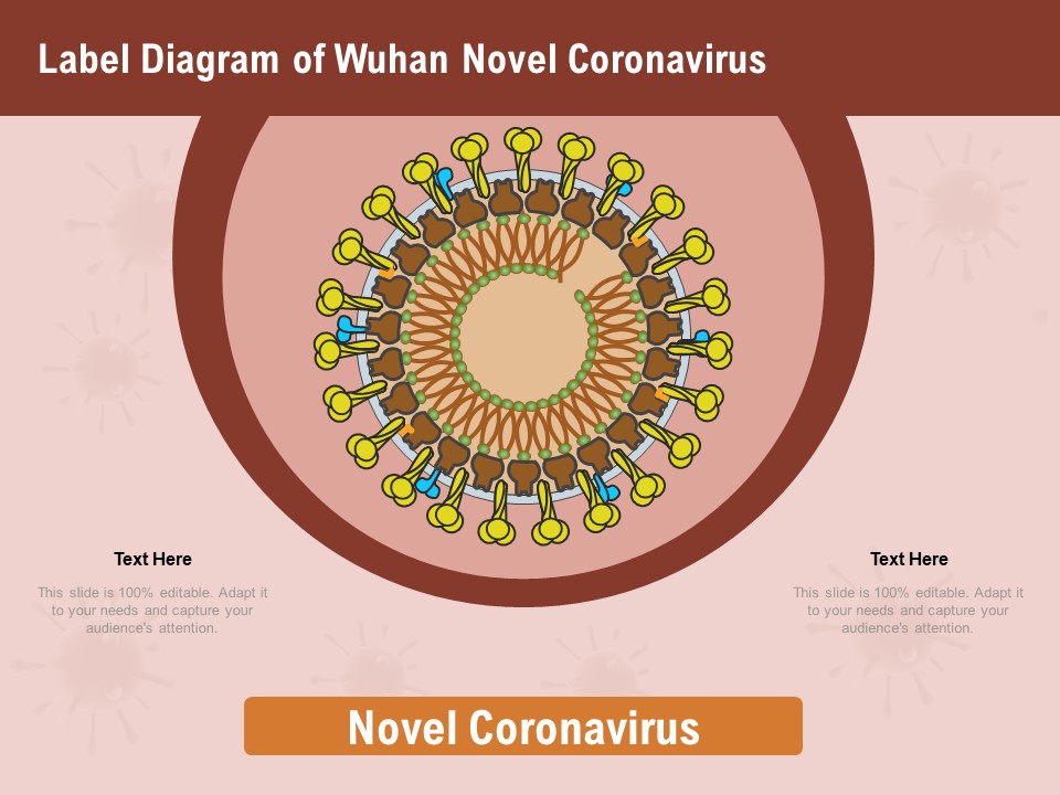 COVID 19 Pandemic Disease Label Diagram Of Wuhan Novel Coronavirus Designs PDF