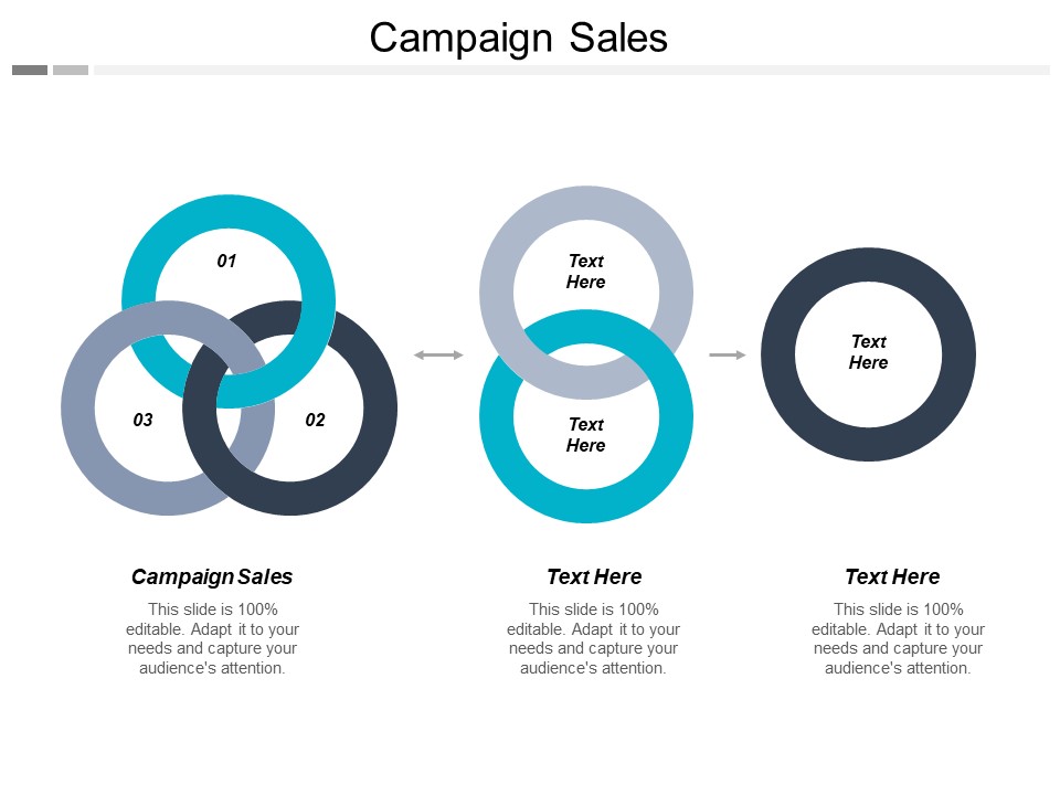Campaign Sales Ppt PowerPoint Presentation Outline Background Cpb