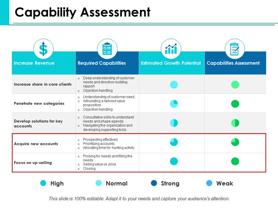 Capability Assessment Ppt PowerPoint Presentation Infographics Clipart