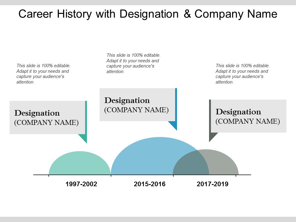 Career History With Designation And Company Name Ppt PowerPoint Presentation Summary Rules
