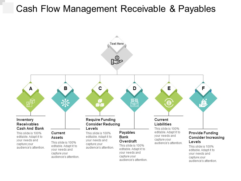 Cash Flow Management Receivable And Payables Ppt PowerPoint Presentation File Layout