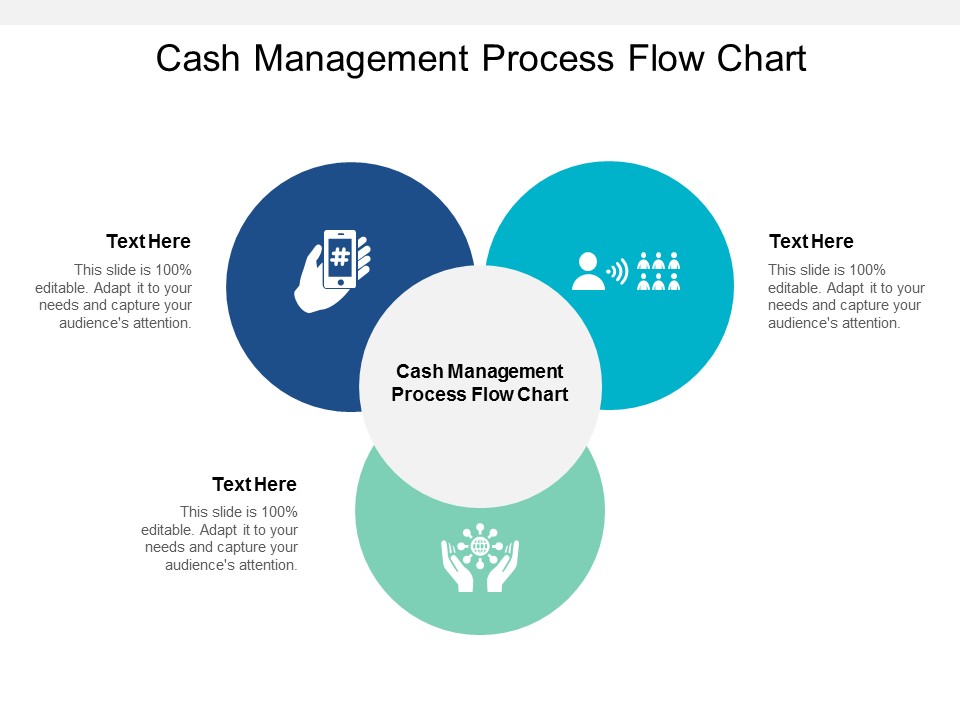 Cash Management Process Flow Chart Ppt PowerPoint Presentation Show Icons Cpb
