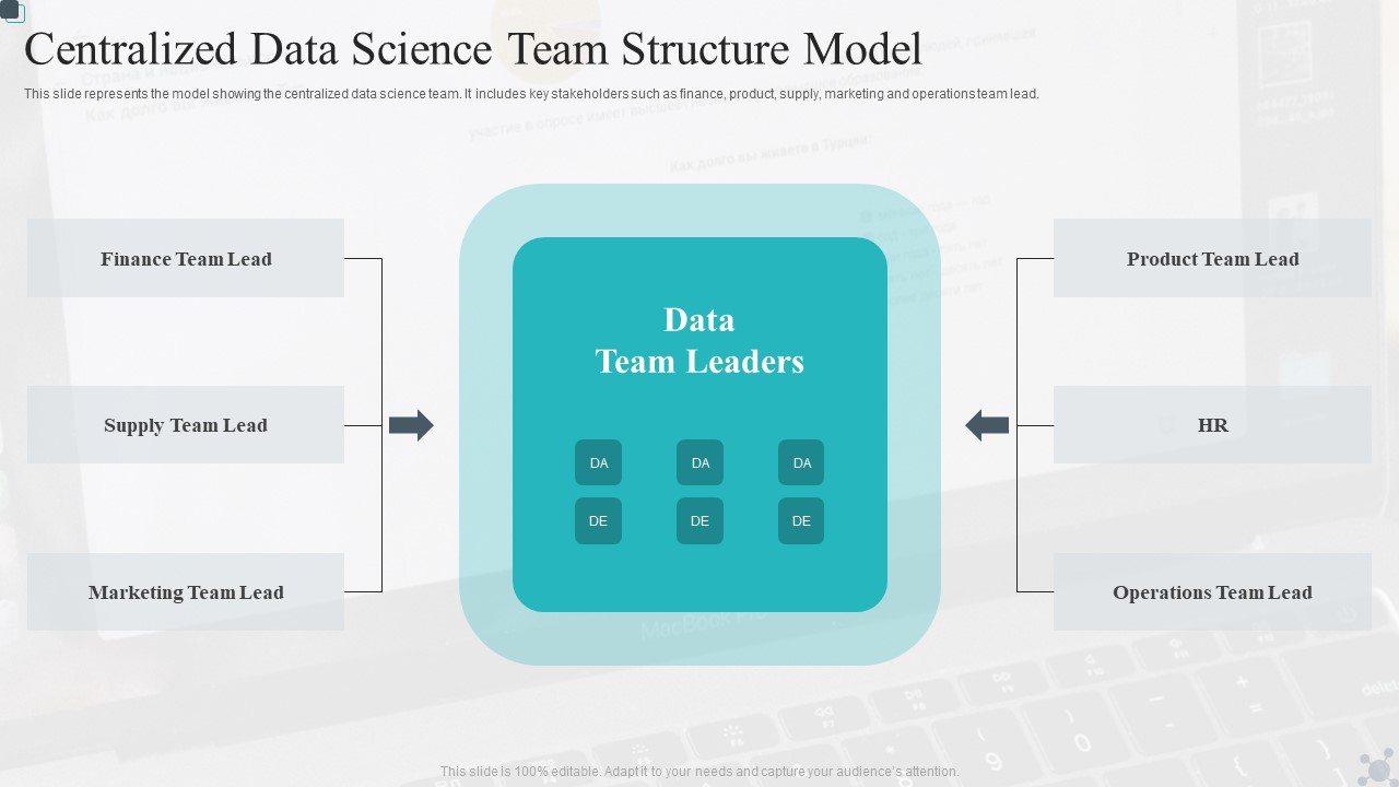 Centralized Data Science Team Structure Model Summary PDF