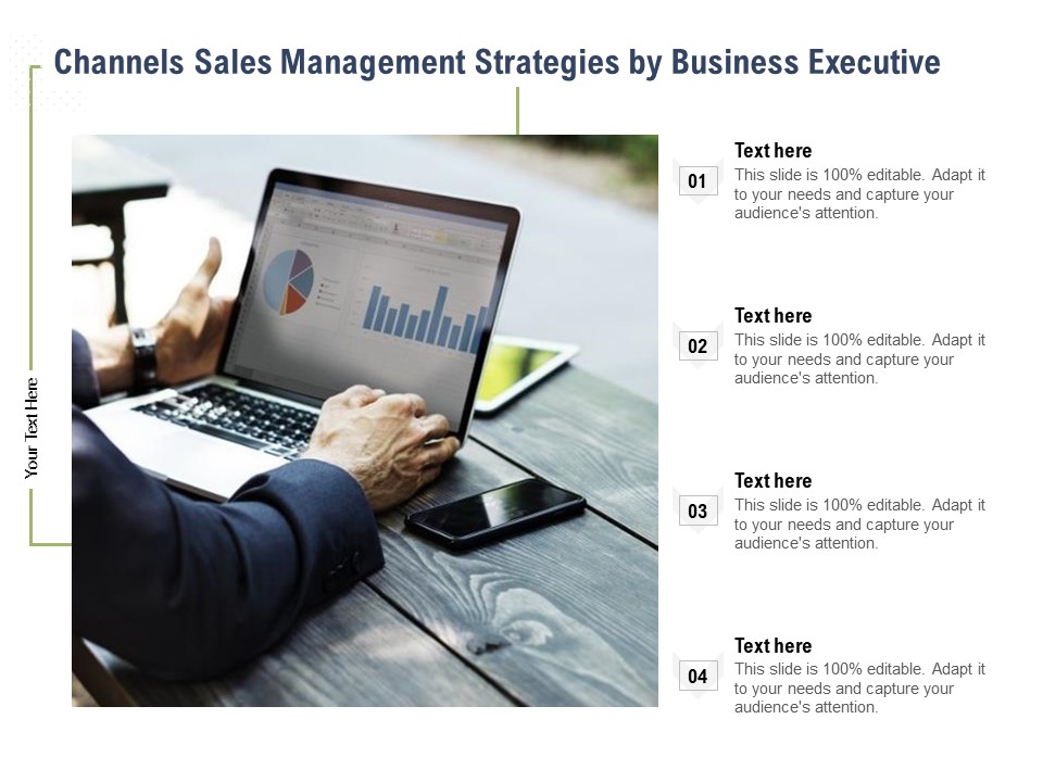 Channels Sales Management Strategies By Business Executive Ppt PowerPoint Presentation File Professional PDF