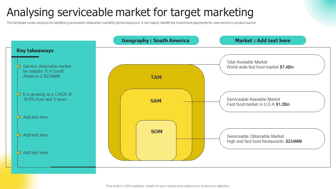 Choosing Target Audience And Target Audience Tactics Analysing Serviceable Market Professional PDF