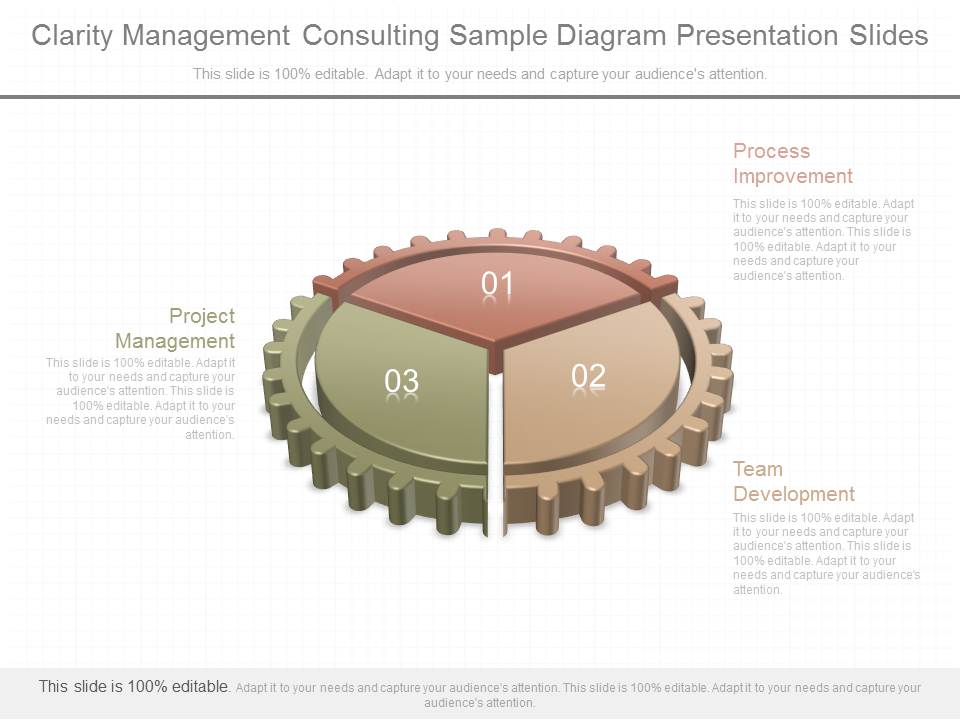 Clarity Management Consulting Sample Diagram Presentation Slides