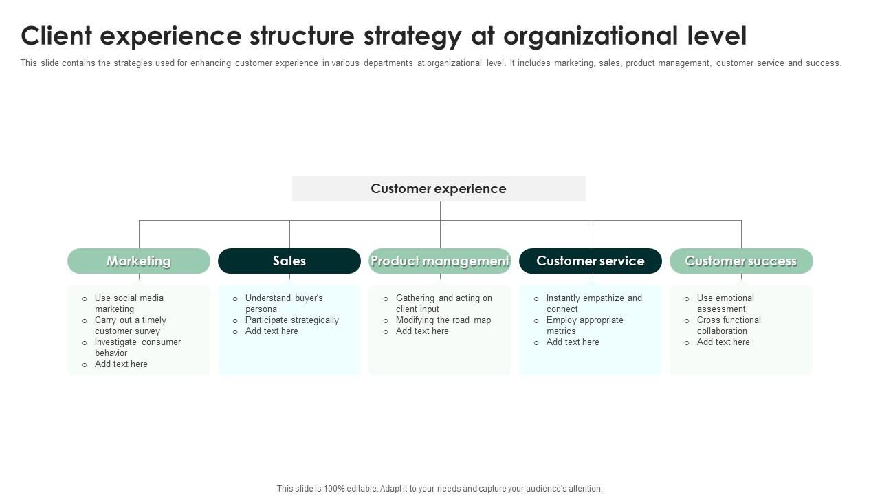 Client Experience Structure Strategy At Organizational Level Infographics PDF