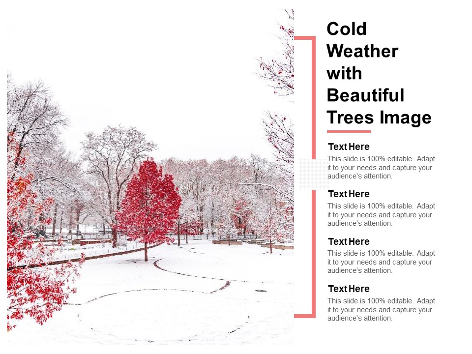 Cold Weather With Beautiful Trees Image Ppt PowerPoint Presentation File Template