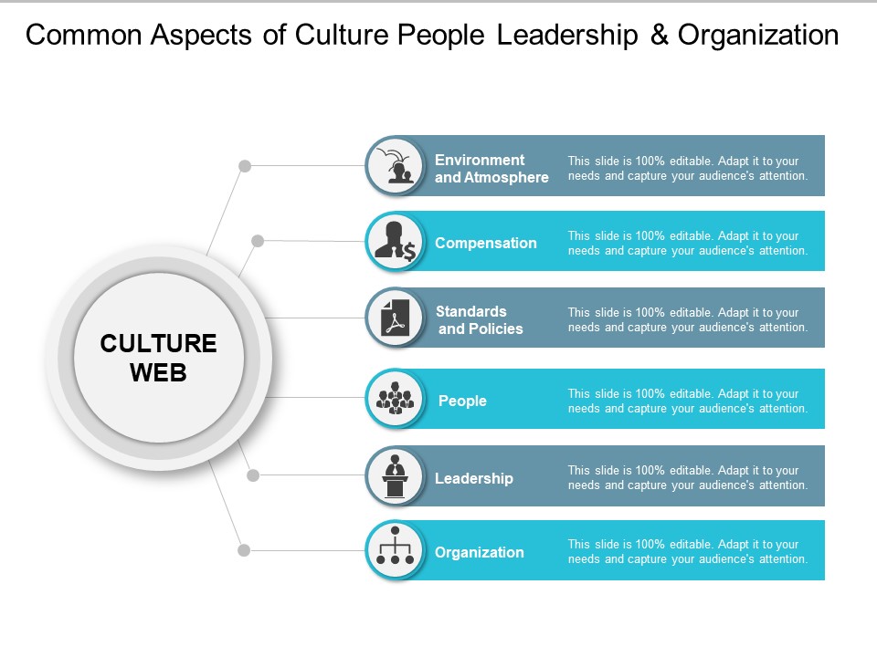 Common Aspects Of Culture People Leadership And Organization Ppt PowerPoint Presentation Show Inspiration