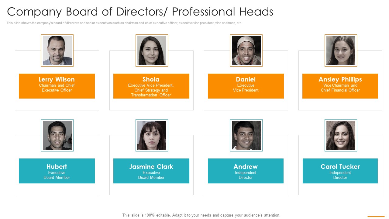 Company Board Of Directors Professional Heads Ppt Infographics Show PDF
