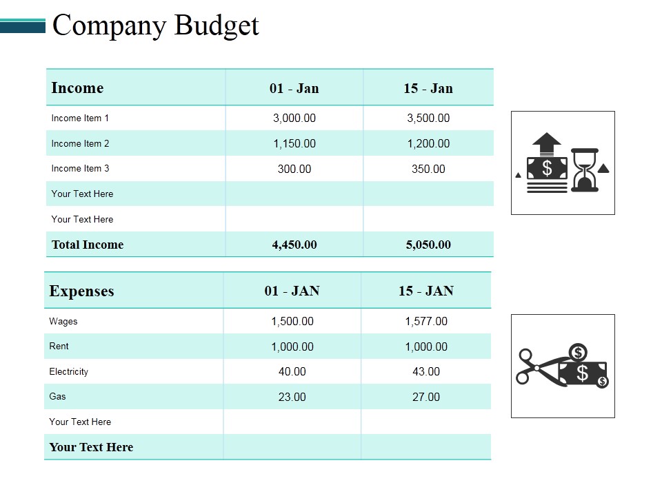 Company Budget Ppt PowerPoint Presentation Model