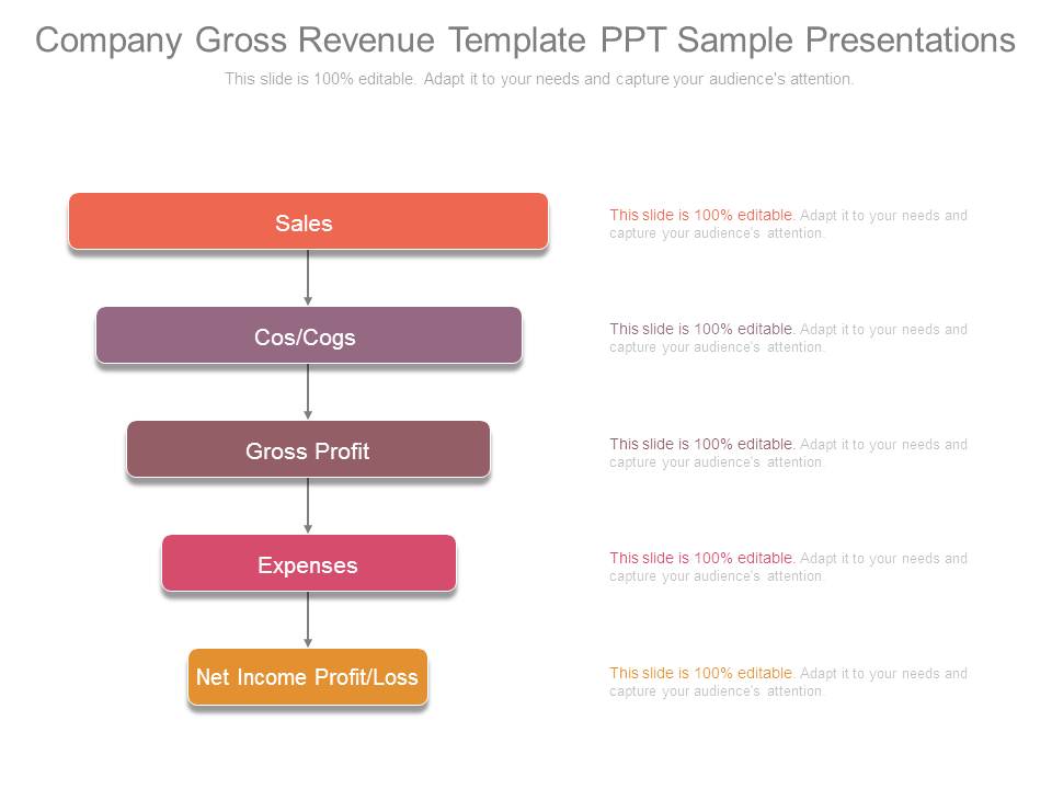 Company Gross Revenue Template Ppt Sample Presentations