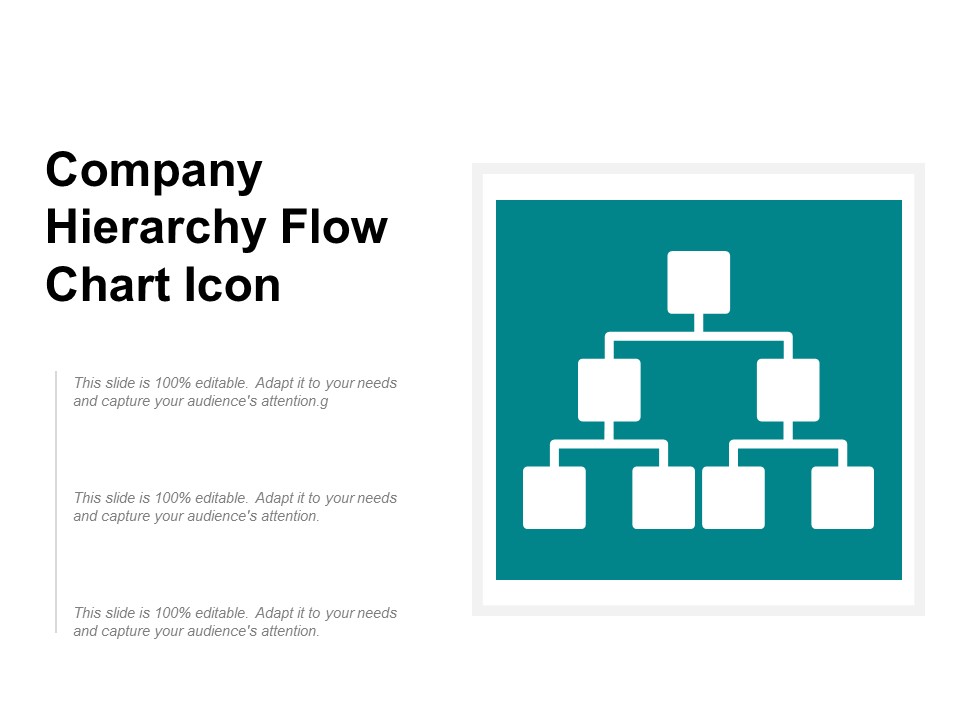 Company Hierarchy Flow Chart Icon Ppt PowerPoint Presentation Gallery Portfolio
