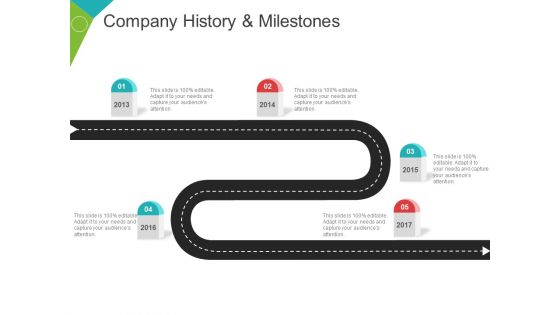 Company History And Milestones Template 2 Ppt PowerPoint Presentation Icon