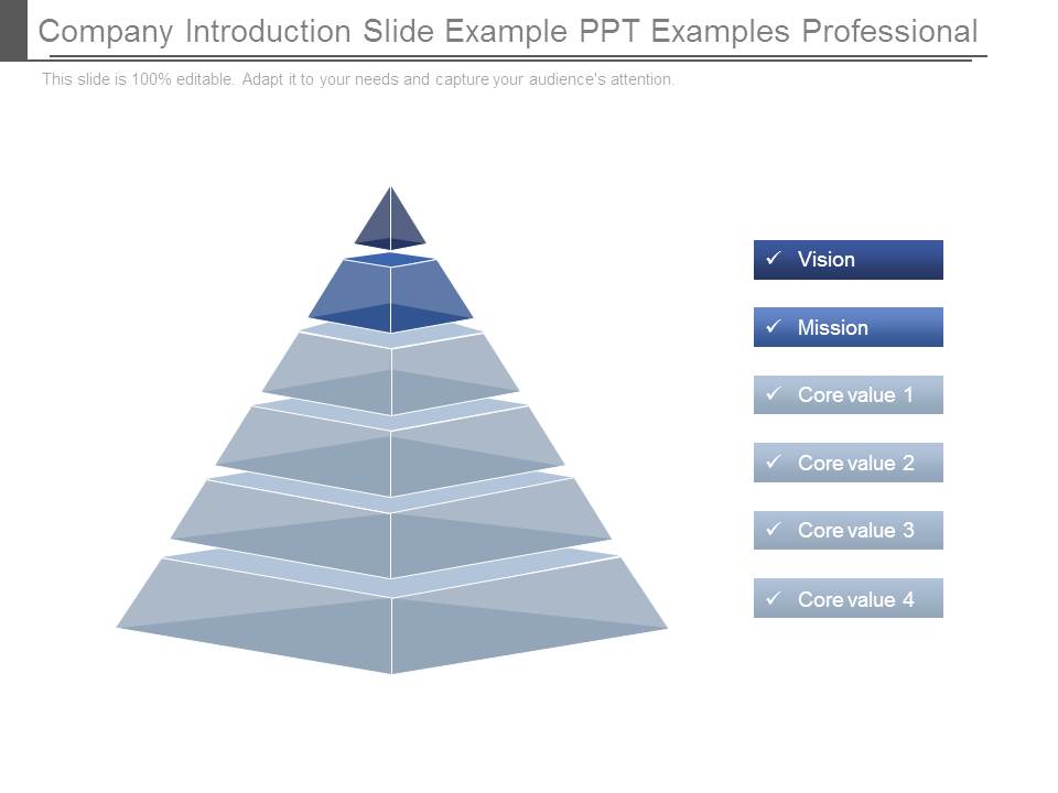 Company Introduction Slide Example Ppt Examples Professional