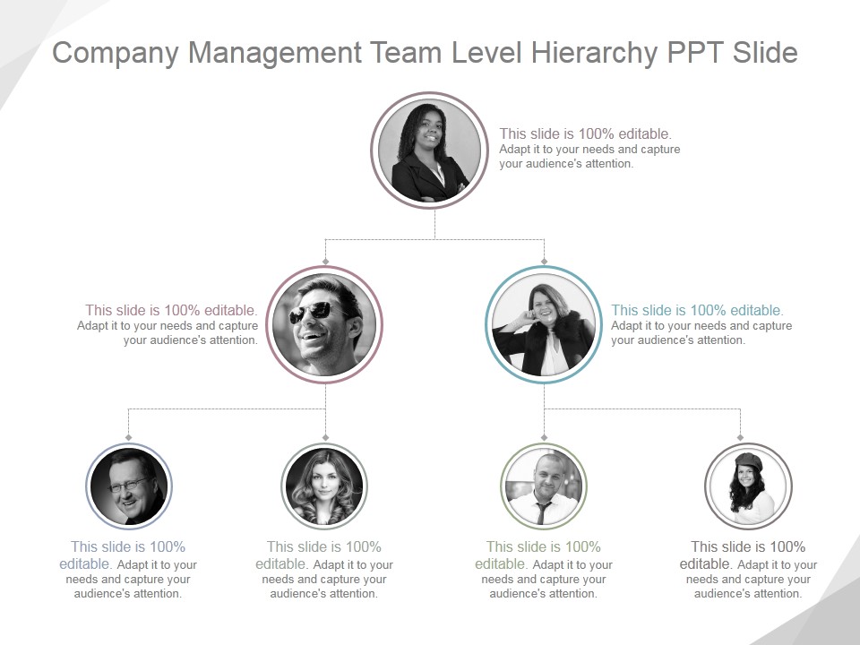 Company Management Team Level Hierarchy Ppt PowerPoint Presentation Background Designs