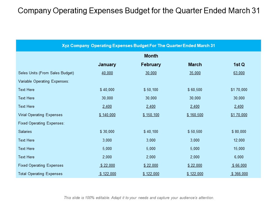 Company Operating Expenses Budget For The Quarter Ended March 31 Ppt PowerPoint Presentation Professional Background Designs PDF
